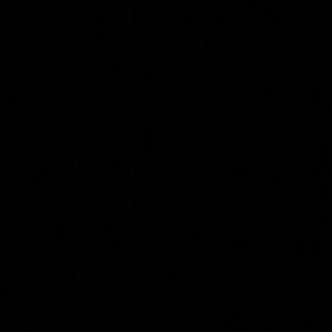 Meet your Posher, Esther